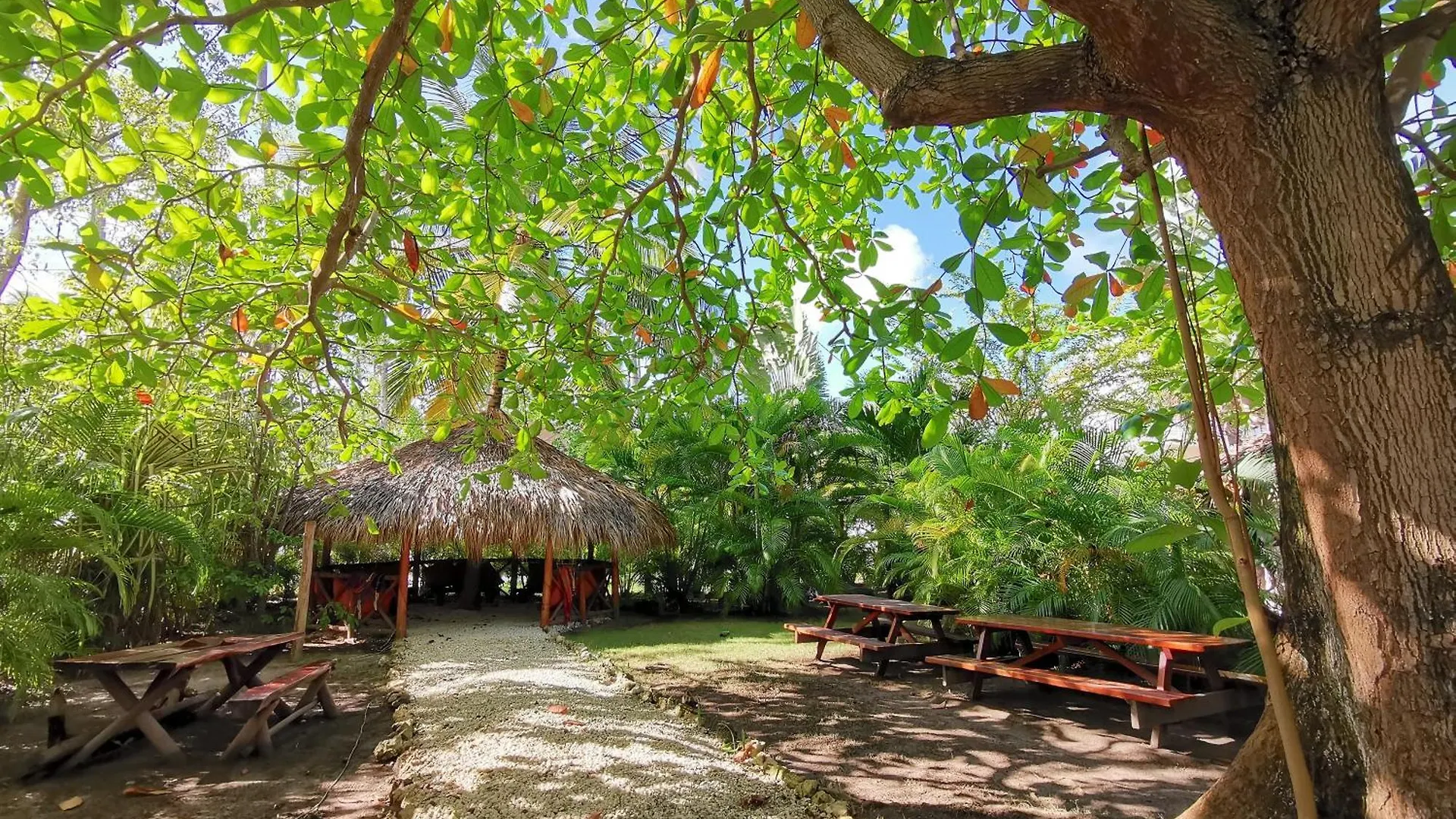Deluxe Villas Los Corales Beach & Spa - Best Price For Vacation Rental Punta Cana 5*,  República Dominicana